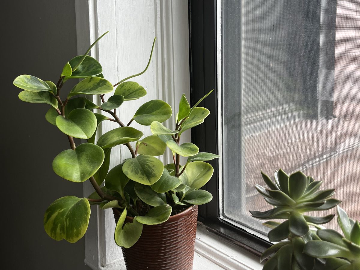 Letter to my&nbsp;Dad